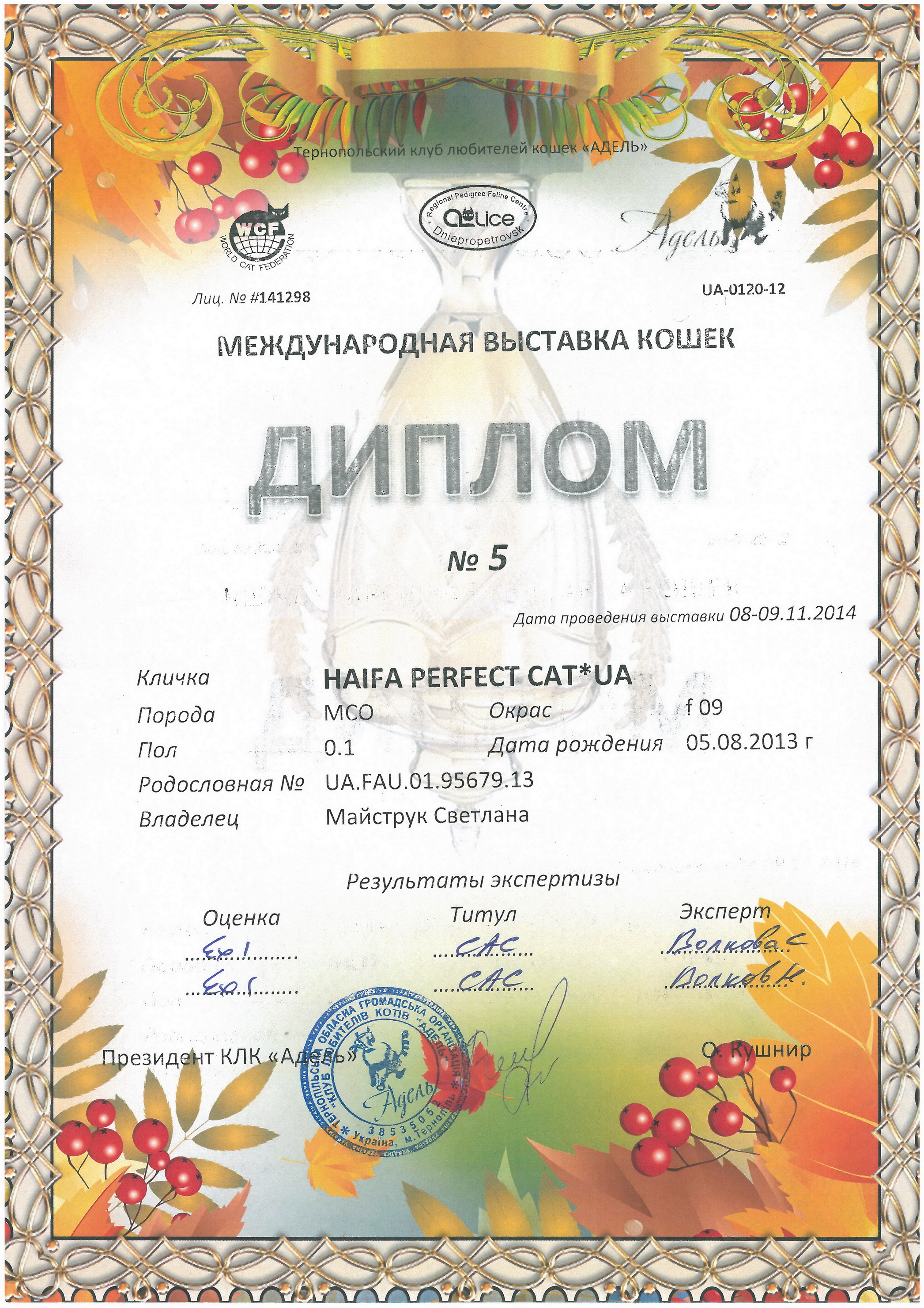 Champion WCF Haifa Perfect Cat*UA of Maidilicos