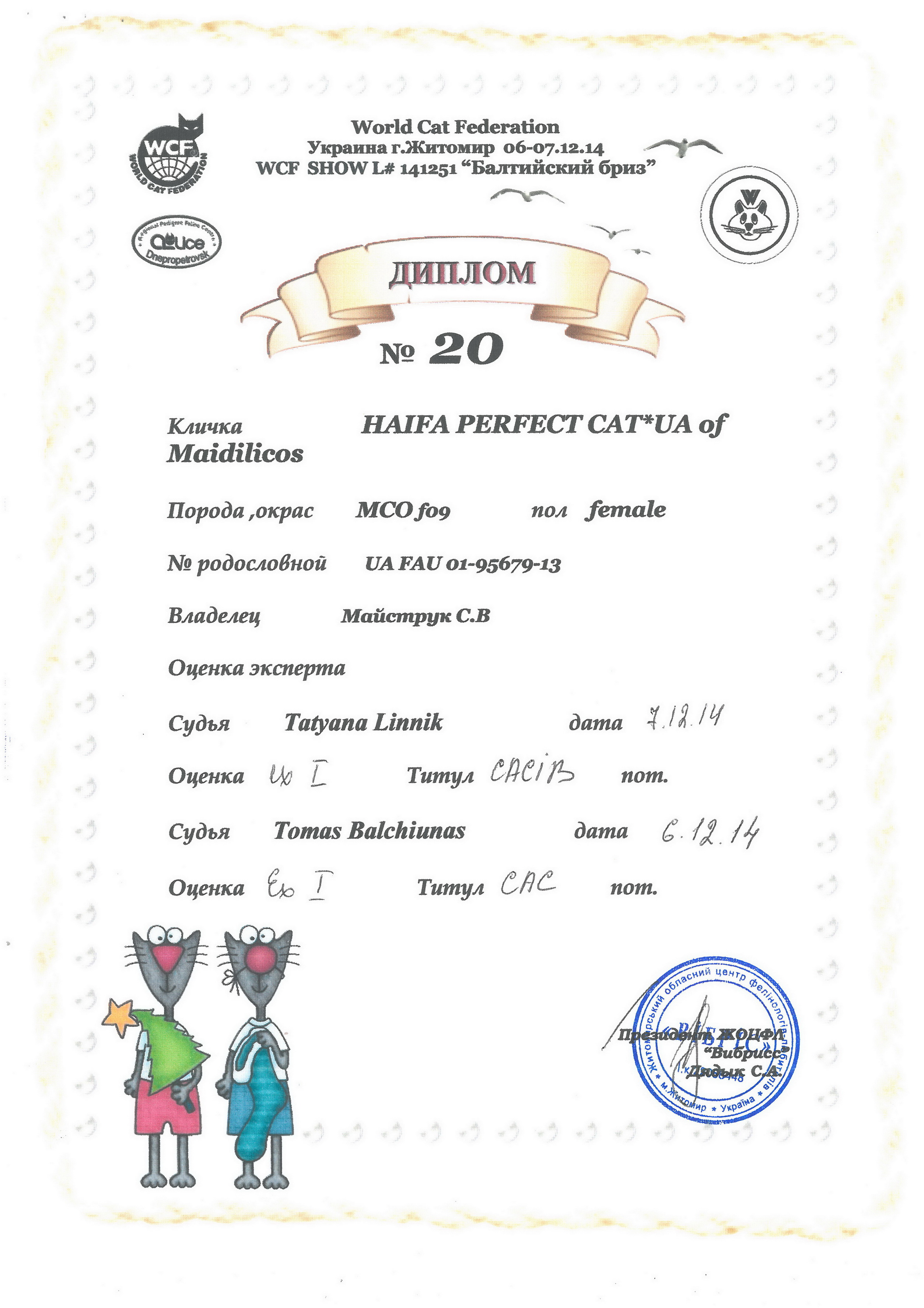 Champion Haifa Perfect Cat*UA of Maidilicos