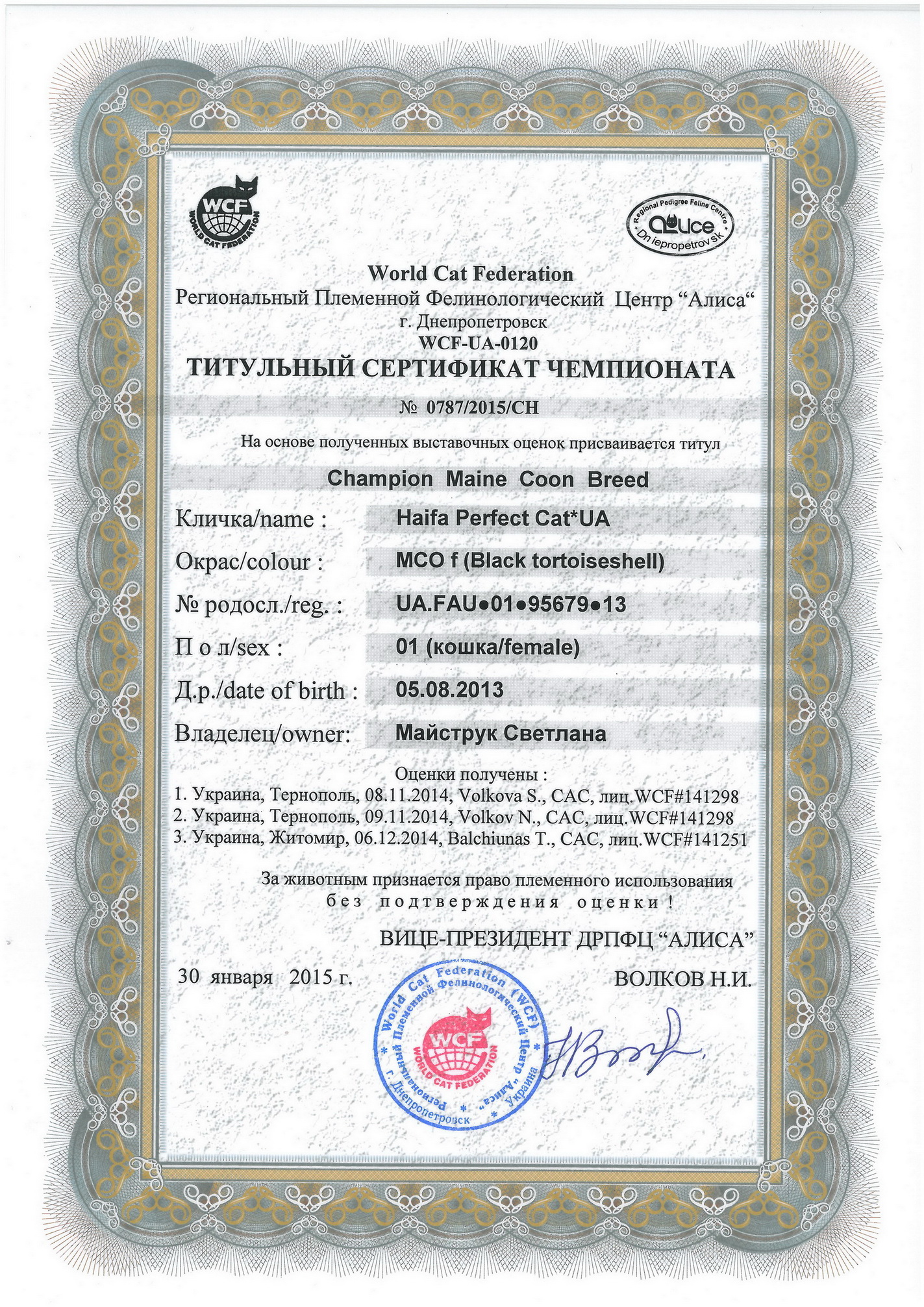 Champion Haifa Perfect Cat*UA of Maidilicos
