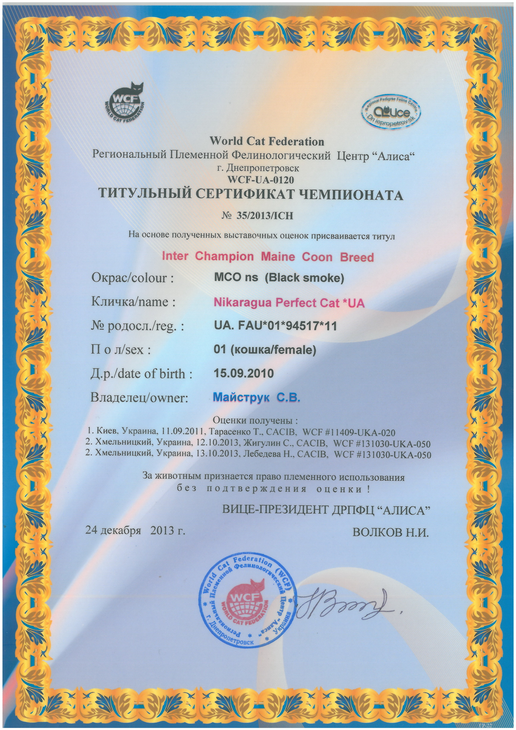 Inter Champion Nikaragua Perfect Cat*UA of Maidilicos